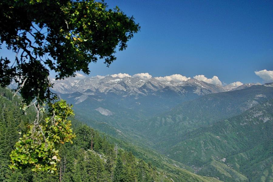 Die Wälder im Sequoia-Nationalpark sind noch intakt, wenngleich auch hin und wieder Waldbrände zu verzeichnen sind.