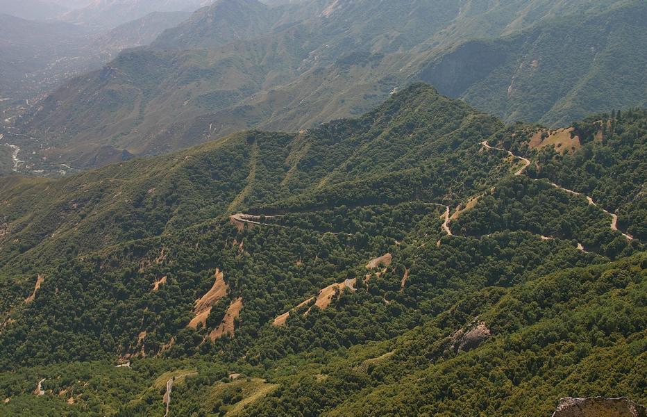 Auf dem Weg nach Bakersfield, unserem Übernachtungsort, muss man diese serpentinenreiche Strecke nach Visalia fahren.