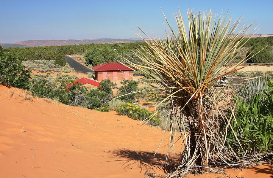 In unmittelbarer Nähe des Visitor Centers befindet sich der Parkplatz mit Zugang zu den größten Dünen im Coral Pink Sand Dunes State Park. 