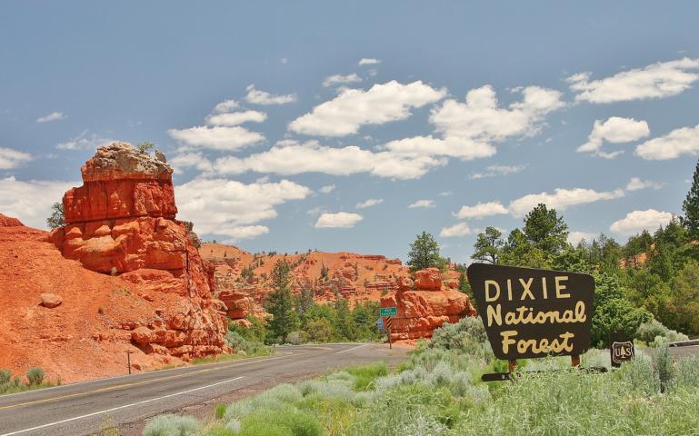 Einfahrt in den Dixie Nationalforest