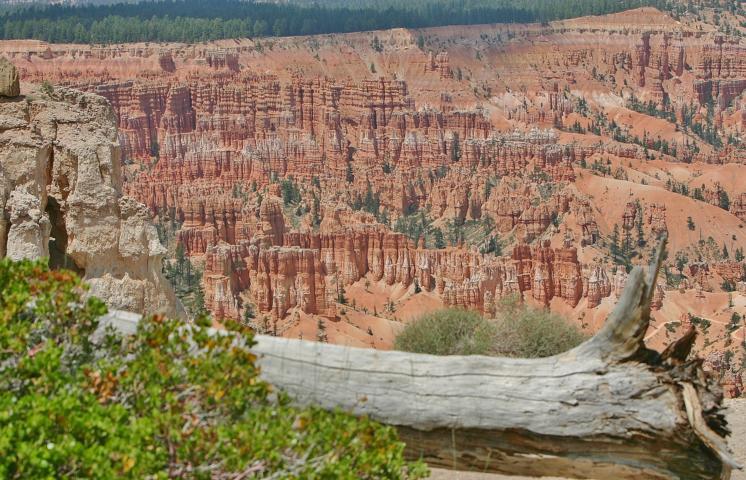 Blick vom Bryce Point auf das Amphitheater.