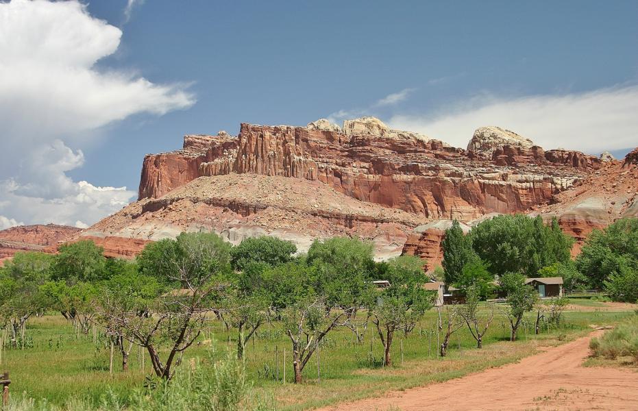 In Fruita, einer verlassenen Mormonensiedlung aus den 1880er Jahren, bilden die Obstbäume, die mormonische Pioniere hier gesetzt haben, einen reizvollen Kontrast zu dieser urweltlichen Landschaft. Die Siedlung wurde um 1966 aufgegeben und war besonders für ihre Obstplantagen berühmt, die bis heute gepflegt werden. Sie liegt im Tal des Fremont River auf etwa 1700 m Höhe. 