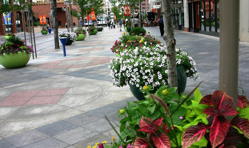 Die Fußgängerpassage war mit viel Blumenschmuck dekoriert.