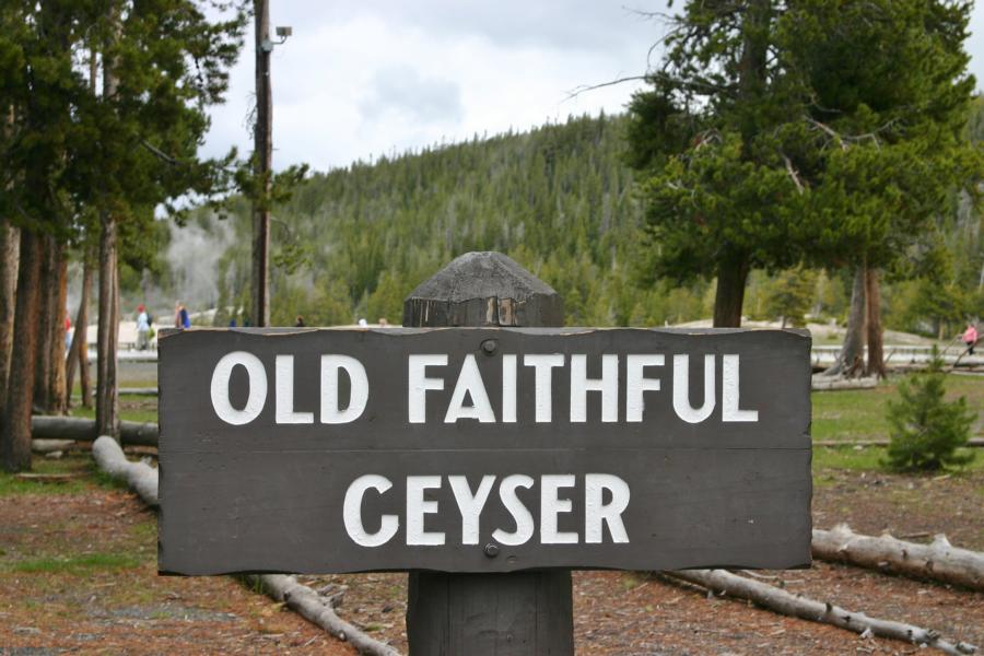 Bei einer Eruption fördert der Old Faithful bis zu 32.000 Liter Wasser, und seine Fontäne kann bis zu 55 Meter hoch aufsteigen.