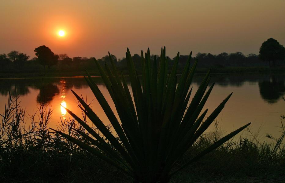 Und erfreuten uns an dem herrlichen  Sonnenuntergang am Fluss.