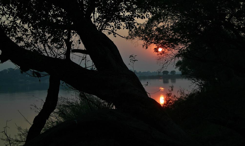 Die Abendstimmung am Zambezi ist beeindruckend.