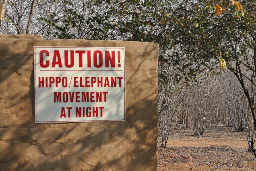 Vorsicht, Hippos und Elefanten laufen hier in der Nacht. Das erlebten wir tatsächlich. Am nächsten Morgen waren die Begrenzungszäune stellenweise von den durchziehenden Elefanten niedergetrampelt und Äste von den Bäumen gerissen. Das Lärmspektakel registrierten wir in der Nacht in  unserem Zimmer.