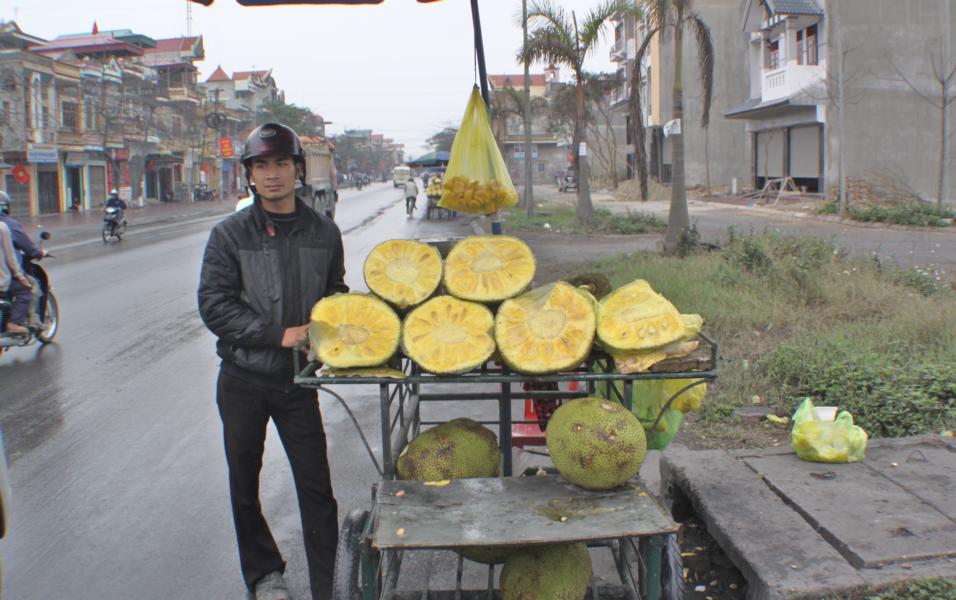 Ein Straßenhändler bot schmackhafte Durianfrüchte an. Zum Verzehr öffnet man sie an den Nähten. Der Kern mit dem Fruchtfleisch wird aus der Frucht geholt und das Fruchtfleisch verzehrt.Aufgrund der Geruchsbelästigung ist die Mitnahme von Durianfrüchten (auch Stinkfrucht genannt) in Hotels oder Flugzeugen meist nicht gestattet. Setzt sich der Geruch der überreifen Früchte erst einmal fest, ist es schwierig, ihn wieder loszuwerden. Deshalb ist es in Hotels üblich, bei Verstoß gegen das Durian-Verbot das Zimmer für eine weitere Woche bezahlen zu müssen.