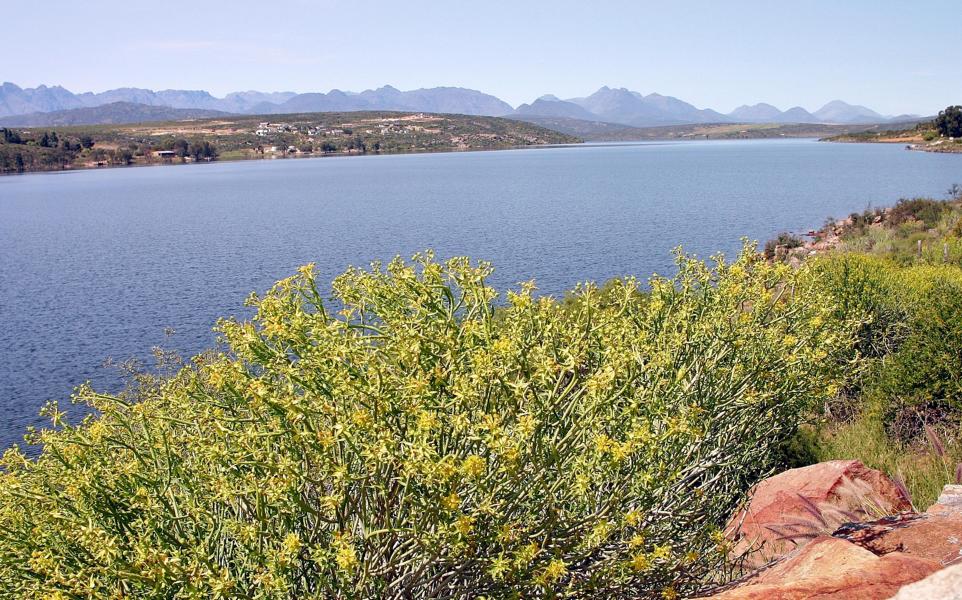 Die Voraussetzung für die intensive Nutzung der fruchtbaren Böden in der Region um  Clanwilliam - neben Rooibos werden Wein und Zitrusfrüchte angebaut - schuf ein Staudamm am unteren Olifants River, dessen Wasser über ein weitverzweigtes Kanalsystem auf die Felder geleitet wird.