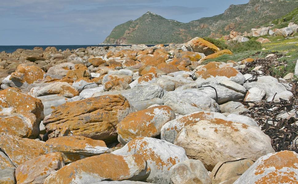 Am Strand der False Bay liegen viele Steine.