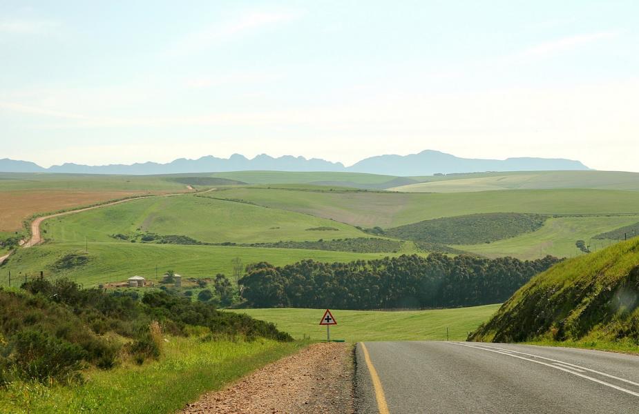 Gleich nach Hermanus beginnt eine landwirtschaftlich intensiv genutzte Region.
