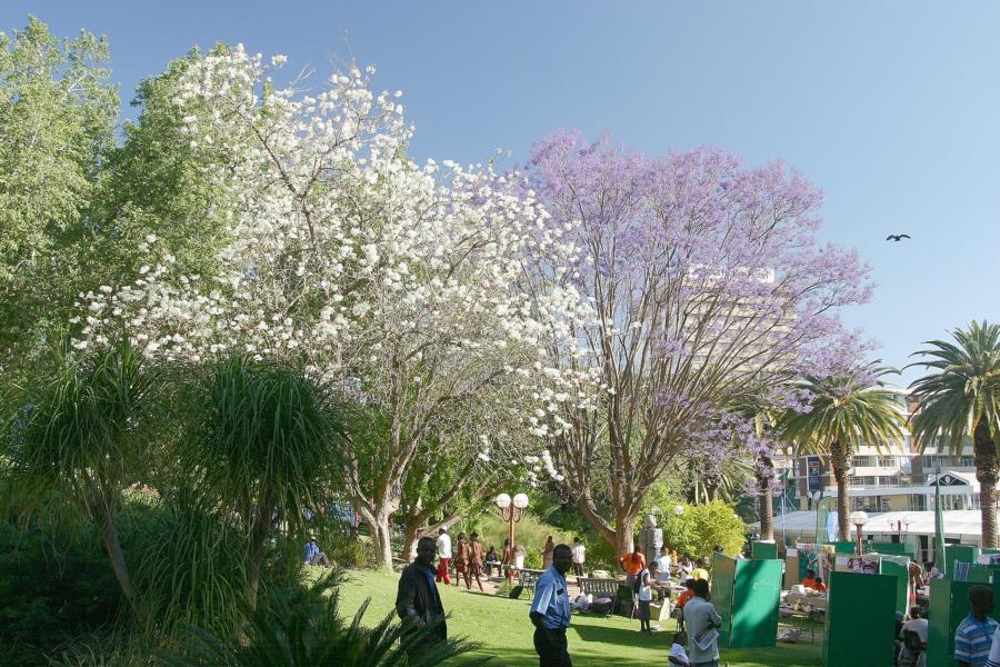 Trödlermarkt in Windhoek.