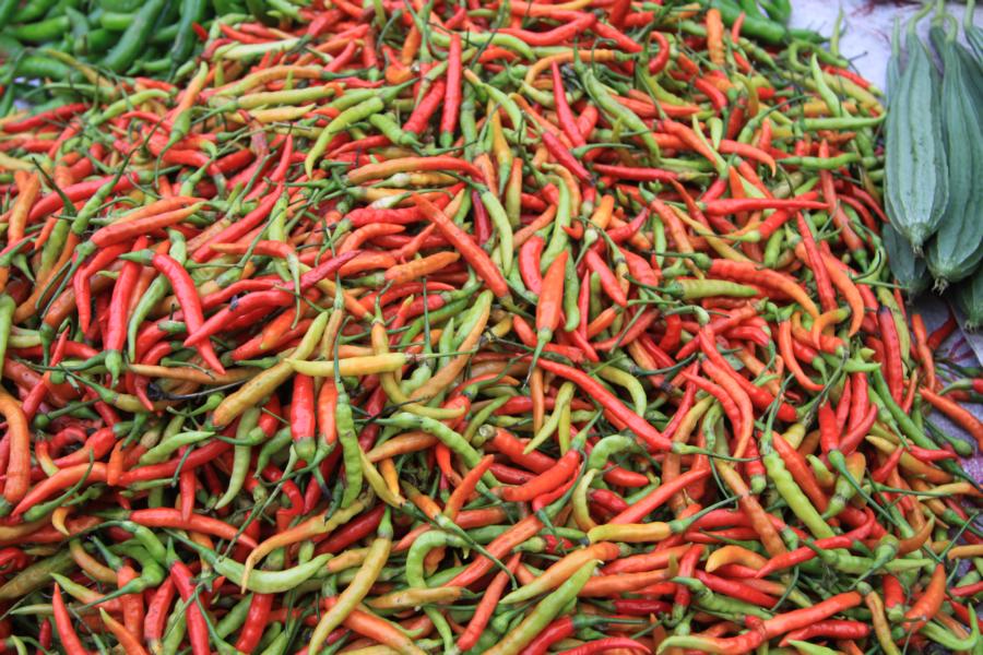 Scharfer Paprika ist die Zutat für viele Speisen der laotischen Küche.