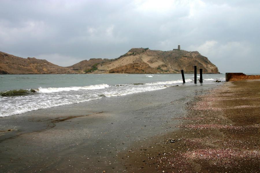 Das Meer spült massenhaft Muscheln an den Strand.