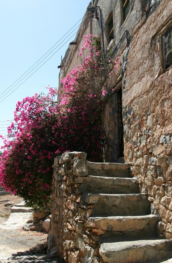 Die Eingänge zu den Steinhäusern sind liebevoll mit blühenden Sträuchern geschmückt.