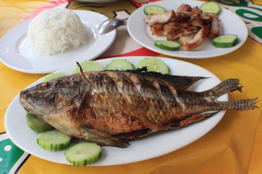 Zum Mittagessen servierte man uns diesen schmackhaften Fisch  mit Beilagen. 