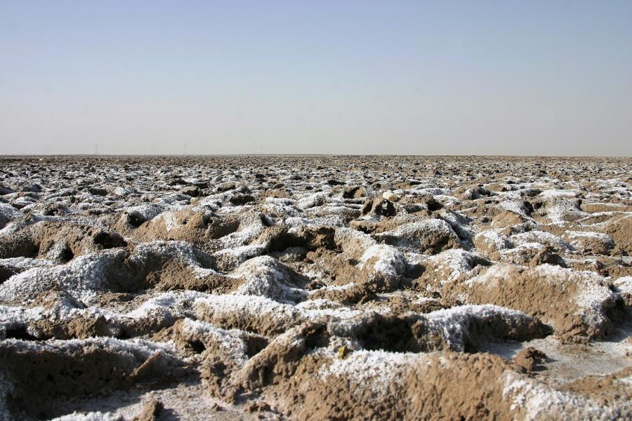 Große Abschnitte in der Wüste sind mit einer Salzkruste bedeckt.