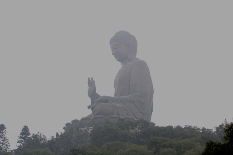 Die auch Big Buddha genannte Plastik ist die weltgrößte freistehende Buddhastatue in sitzender Haltung. Sie ist eine der fünf größten Buddha-Statuen in China und das größte buddhistische Monument in Hongkong. Es befindet sich beim Kloster Po Lin auf einer Bergspitze und soll das harmonische Verhältnis zwischen Mensch, Natur und Religion symbolisieren. Als populäres touristisches Ausflugsziel zieht es jedes Jahr tausende Besucher an. Die Figur selbst ist 34 Meter hoch und wiegt 250 Tonnen.  Wie bei allen Buddhastatuen sind die Hände zur sogenannten Mudra geformt. Diese Gesten haben spezifische symbolische Bedeutungen: Die rechte Hand ist erhoben als Zeichen der Zurückweisung des Leidens, die linke Hand ruht im Schoß in einer Geste des Gebens.  