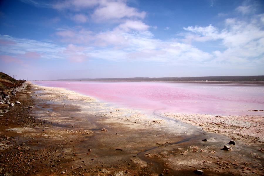 Pink Lake bei Port Gregory.