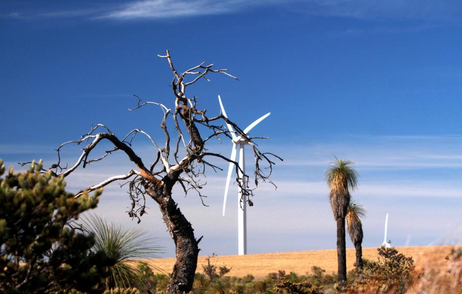 Die Zahl der Windräder an der Westküste hält sich noch in Grenzen. 