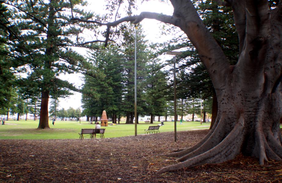 Fremantle besitzt einen sehr schönen Park, den wir zum Ausruhen auch genutzt hatten.