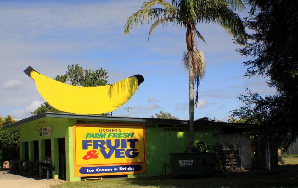 Im Umfeld von Coffs Harbour befinden sich viele Bananenplantagen, die ihre Produkte in Supermärkten anbieten.