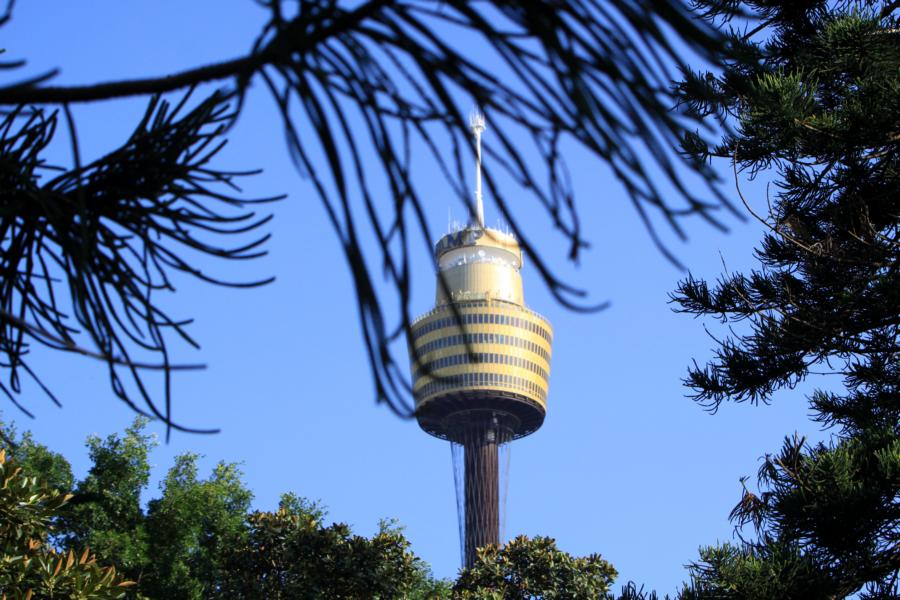 Das höchste Gebäude Sydneys, der 305 Meter hohe Sydney Tower, hat eine Aussichtsplattform und bietet eine Rundumsicht, insbesondere auch über den Hafen.