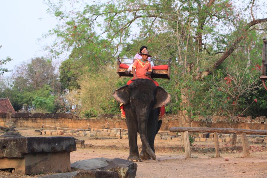 Viele Touristen laufen die Strecke, andere lassen sich auf Elefanten zum Tempel bringen.