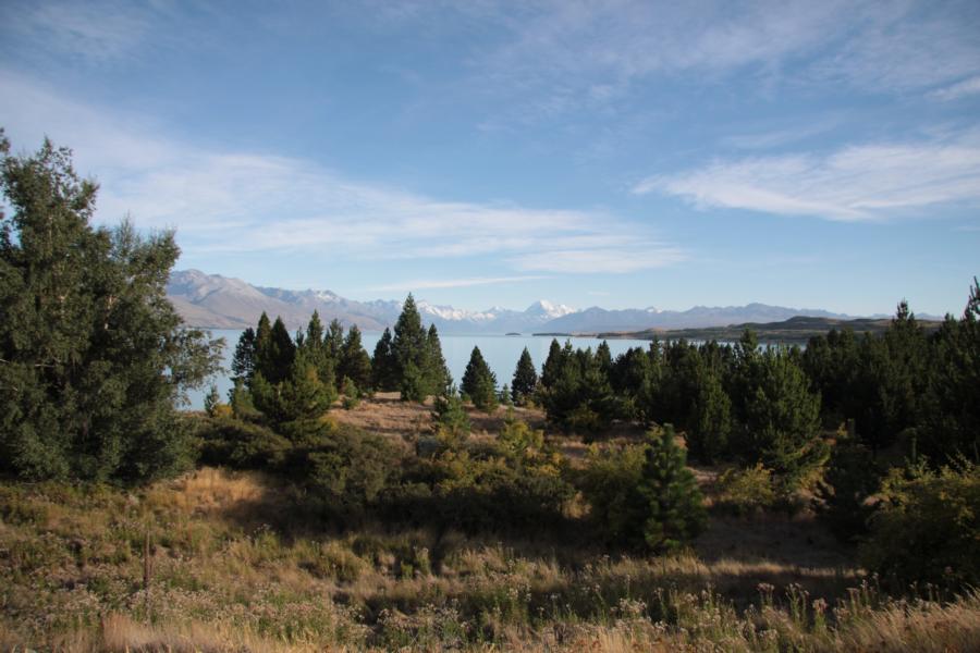 Nicht mehr weit zum Lake Pukaki.