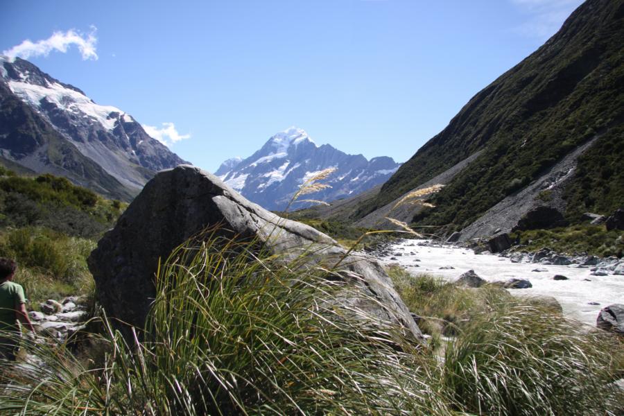 Je höher man steigt, um so karger wird die Vegetation. Gräser dominieren.
