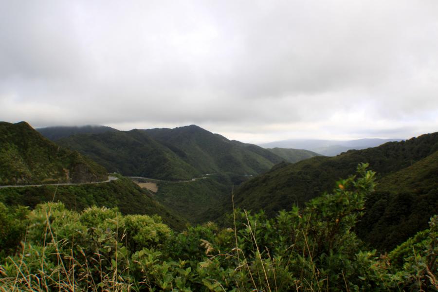 Auf dem Rückweg vom Cape Palliser fuhren wir eine serpentinenreiche Strecke.