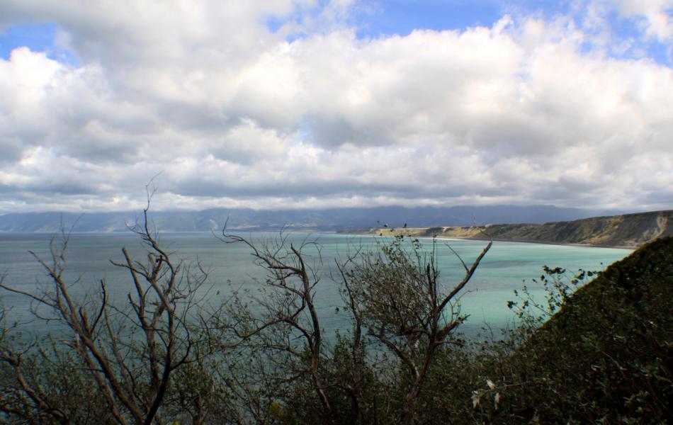 Die Küste am Cape Palliser ist erreicht.