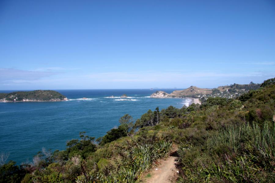 Wanderweg zur Cathedral Cove.