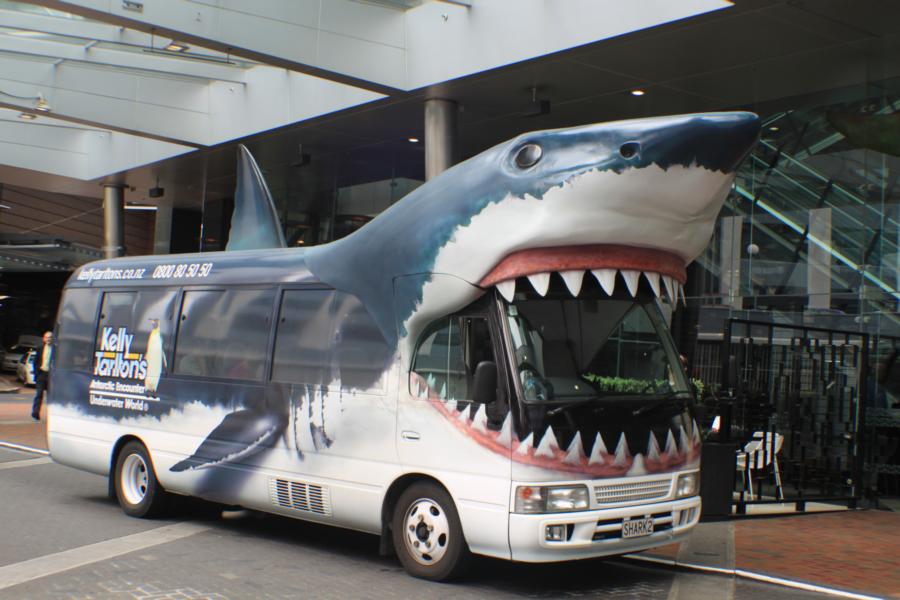 Busshuttle zum Flugplatz.