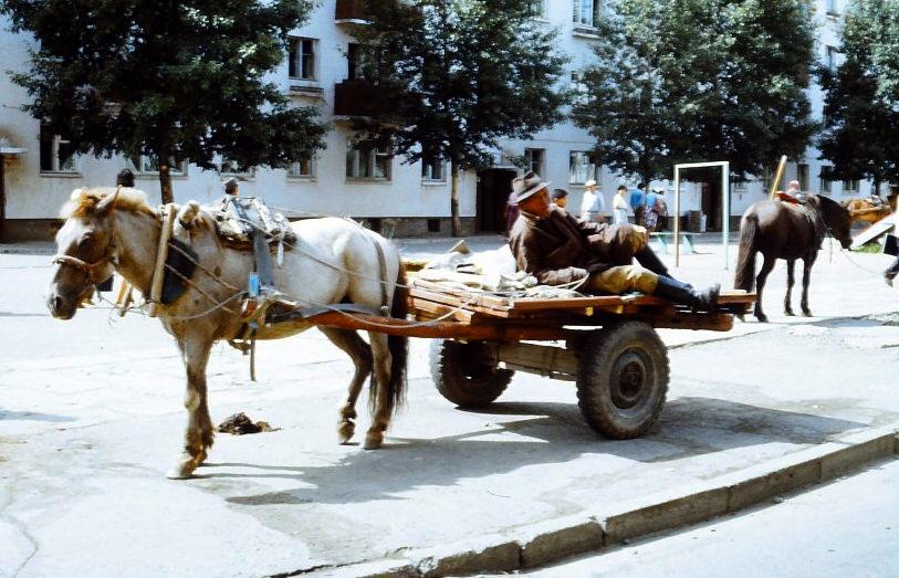 Pferdeparkplatz am Rande eines Wochenmarktes.