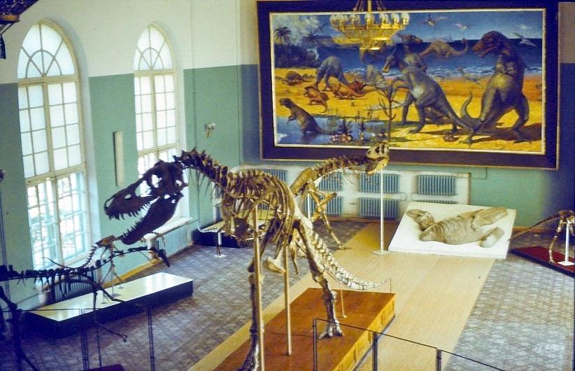 Bedeutsam war für uns das Naturkundemuseum mit seiner paläontologischen  Abteilung, in der sehr gut erhaltene Saurierskelette zu sehen waren.