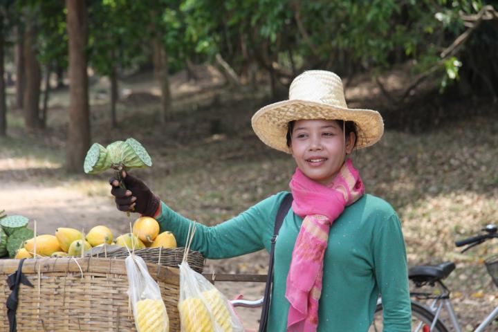 Obstverkäuferin im Gelände des Angkor Wat.