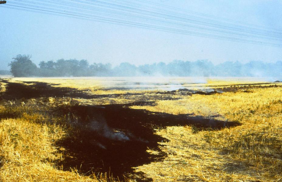 Das Stroh auf den abgeernteten Getreidefeldern wurde abgebrannt.