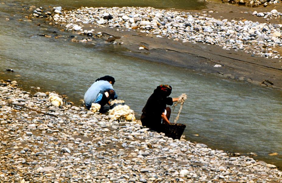 Frauen waschen im Fluss Basan Schafwolle.