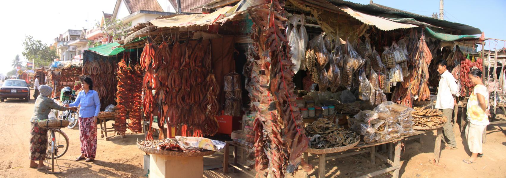  Am Eingang zu einer kleinen Kreisstadt sind mehrere Stände aufgebaut, wo man Fisch verkauft. Diesen fängt man in einer riesigen Seenlandschaft etwa 70km von Siem Reap entfernt. Die meiste Ware ist getrocknet . 