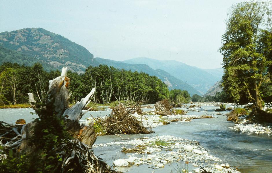 Die Flüsse transportieren bei Hochwasser Holz und Steine mit.
