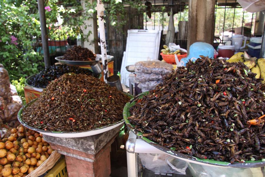 In der Kleinstadt Kompong Thom aßen wir Mittag. Gleich nebenan befand sich ein Obst-und Gemüsestand. Hier bot man u.a. geröstete Insekten, z. B. Heuschrecken in unterschiedlicher Größe und Farbe an.