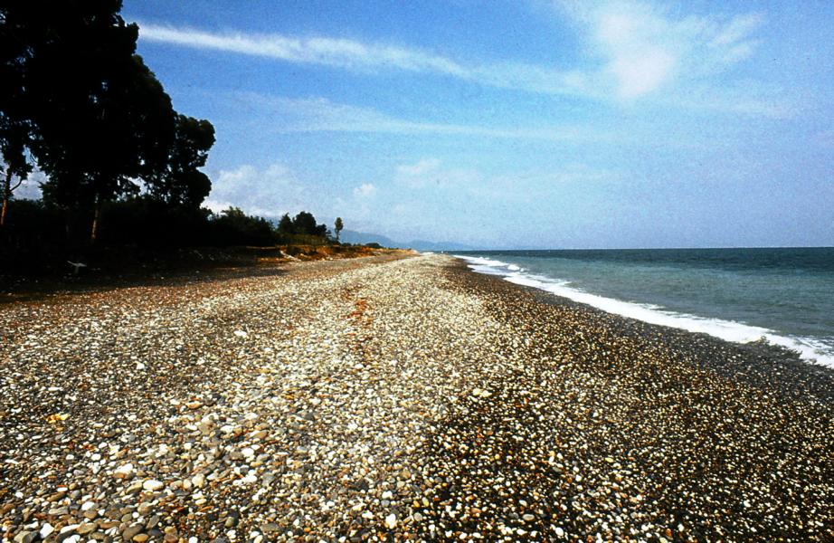 Die meisten Strandabschnitte sind steinig.