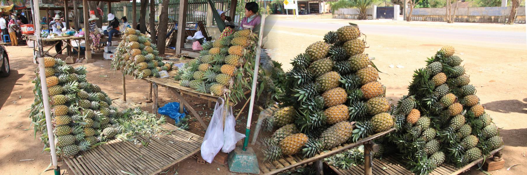 Eine reife Ananas kostete an diesem Fruchtstand 1 US $.