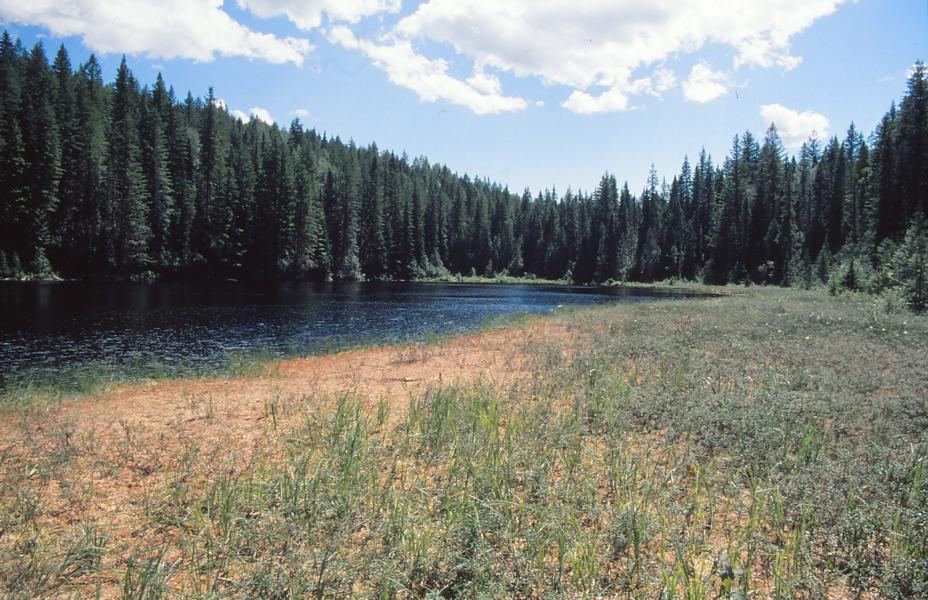 See im Wells Gray Provincial Park.