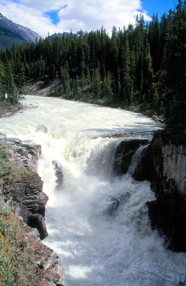 Der Sunwapta Falls ist ein Wasserfall am Sunwapta River (einem Nebenfluss des Athabasca River) im Jasper-Nationalpark. Er liegt etwa 55 km südlich von Jasper. Der Wasserfall ist insgesamt etwa 18 Meter hoch und rund neun Meter breit. Das Wasser des Sunwapta River stammt vom Athabasca-Gletscher und fällt hier in zwei Stufen hinab. 