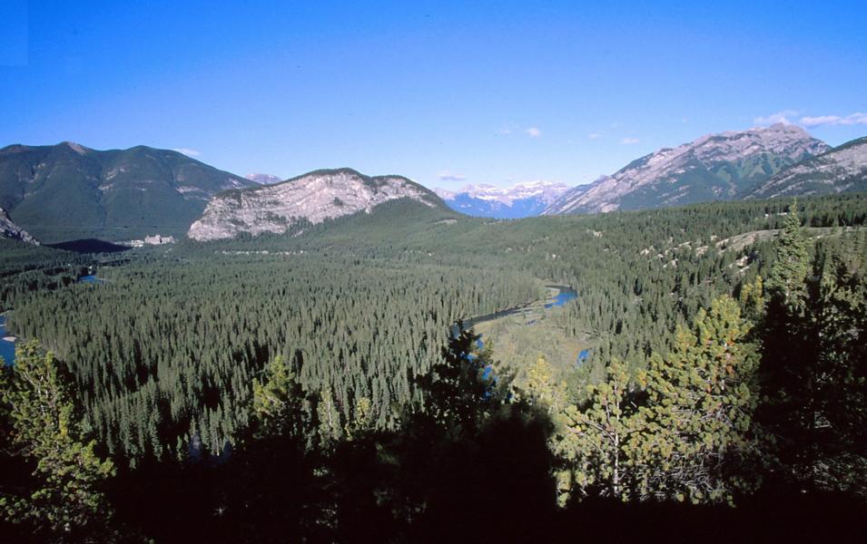 Das Bow Valley bei Banff.