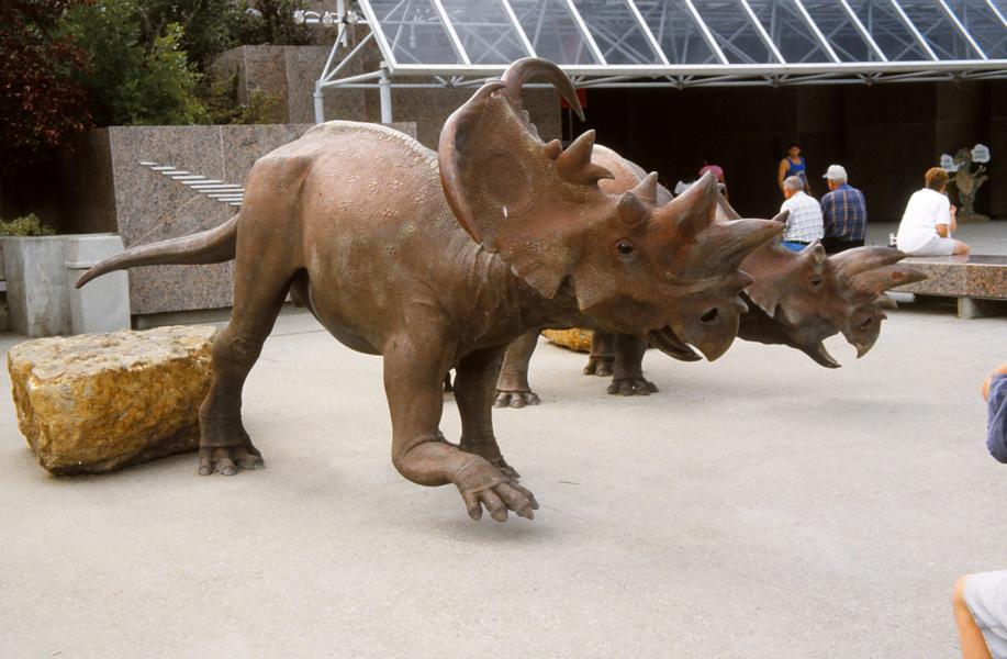 Der Eingang zum Royal Tyrrell Museum of Palaeontology ist ebenso mit Saurier gestaltet. Der Aufbau der Exponate im Museum ist übersichtlich und pädagogisch eindrucksvoll dokumentiert.