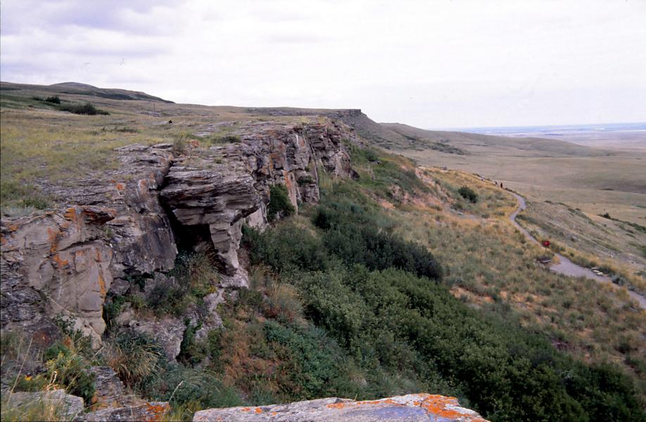 Felsklippe, über die die Bisonherden gejagt wurden.