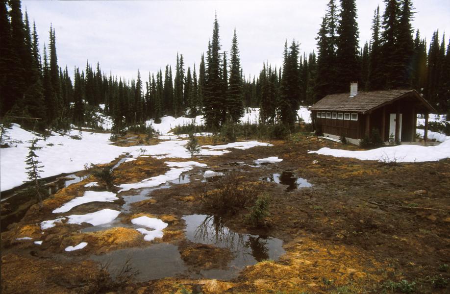 Feuchtwiesen im Hochland des Mount-Revelstoke-Nationalparks.